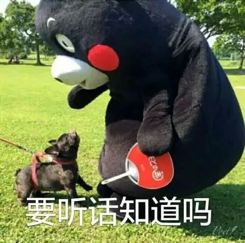 温泉鱼疗真能治病还是另有隐患,鱼疗温泉可以泡全身吗