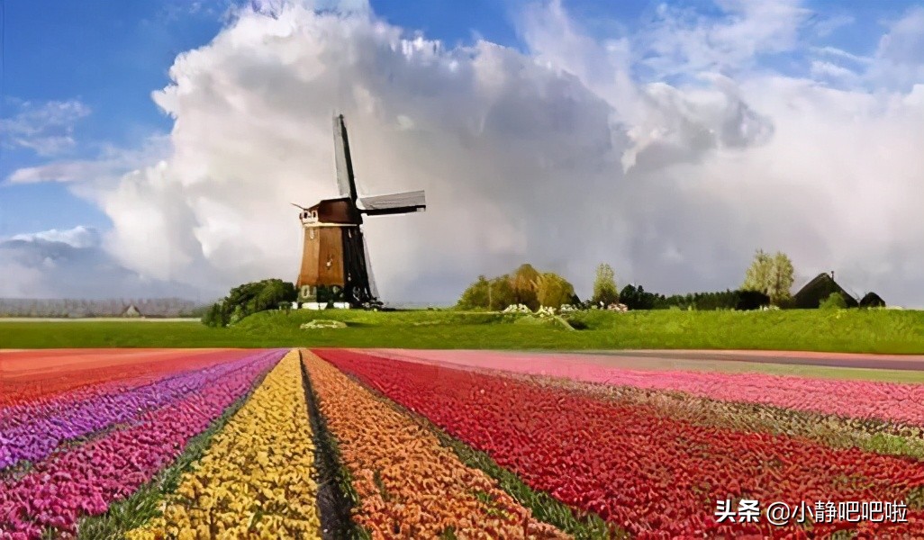 你不知道的国家冷知识捷克,你不知道的国家冷知识立陶宛