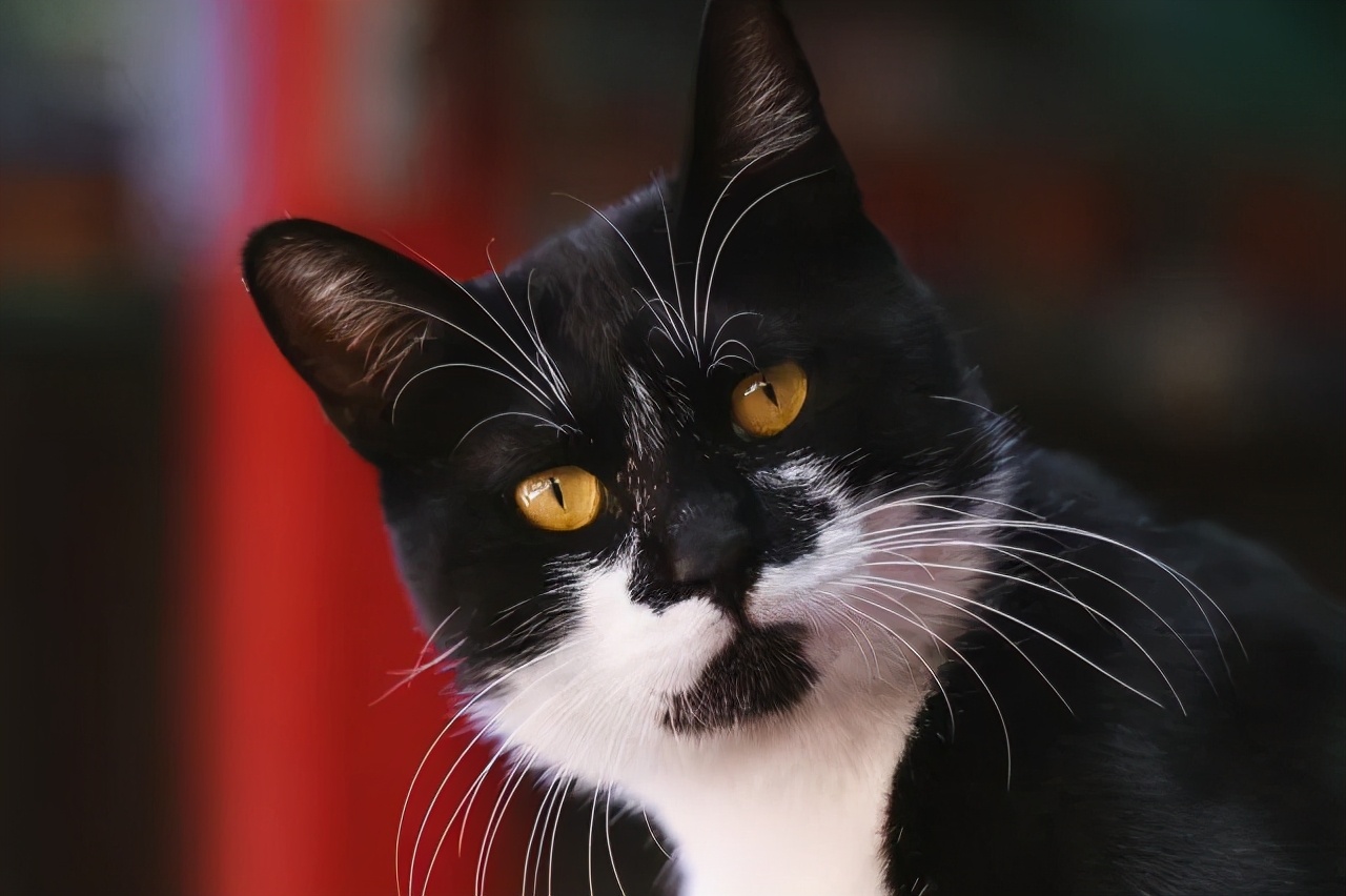 连用90天，拍摄近千G。EOSR5发布三个月后的使用报告