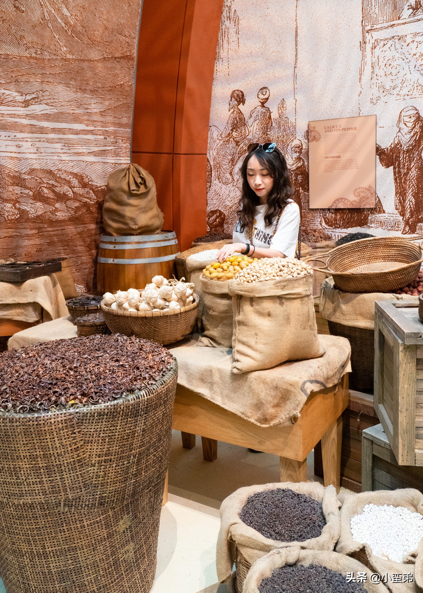 5年之许,小白逆袭重返新加坡