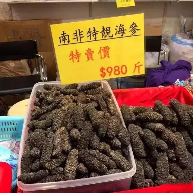 海参物种科普,海参100种图片