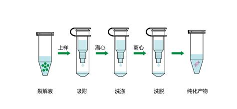 pcr核酸检测技术结果分析,核酸检测方法pcr技术