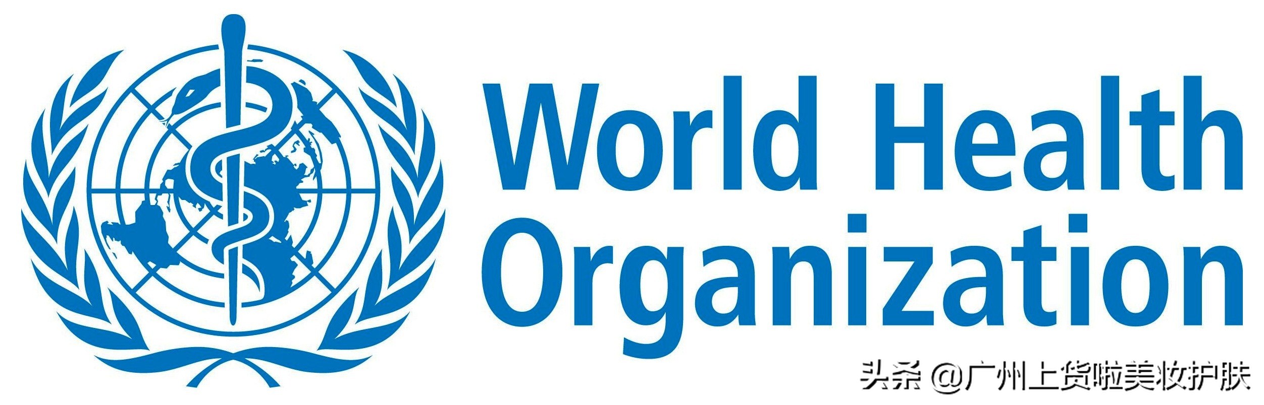 新鲜芦荟对皮肤有什么作用,新鲜芦荟和芦荟胶哪个效果好