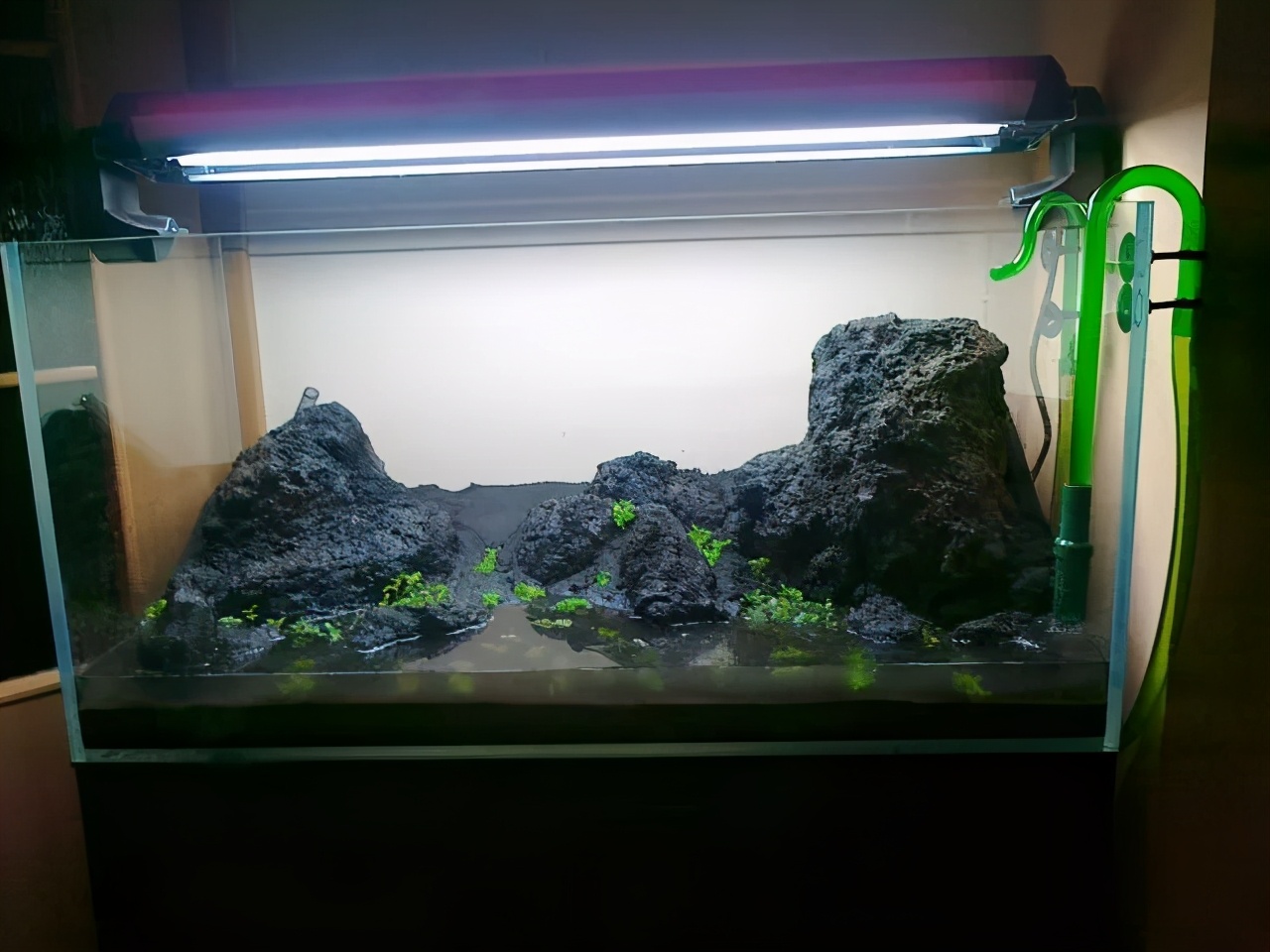 石上的迷你矮+血红宫廷,美的让人心醉