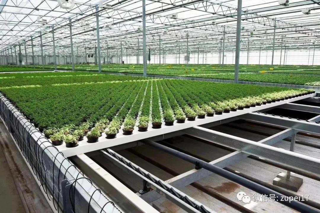 小型温室大棚用什么样的大棚,塑料大棚对比玻璃大棚