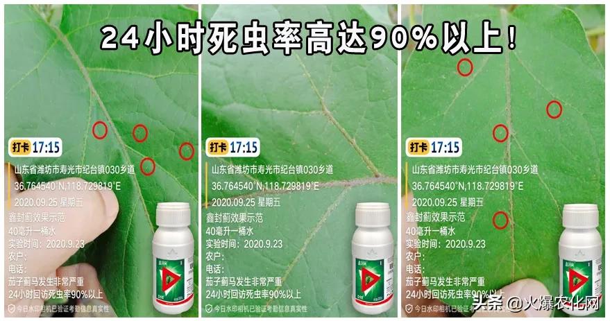 蓟马专用杀虫卵剂,除虫灭蚊大杀器