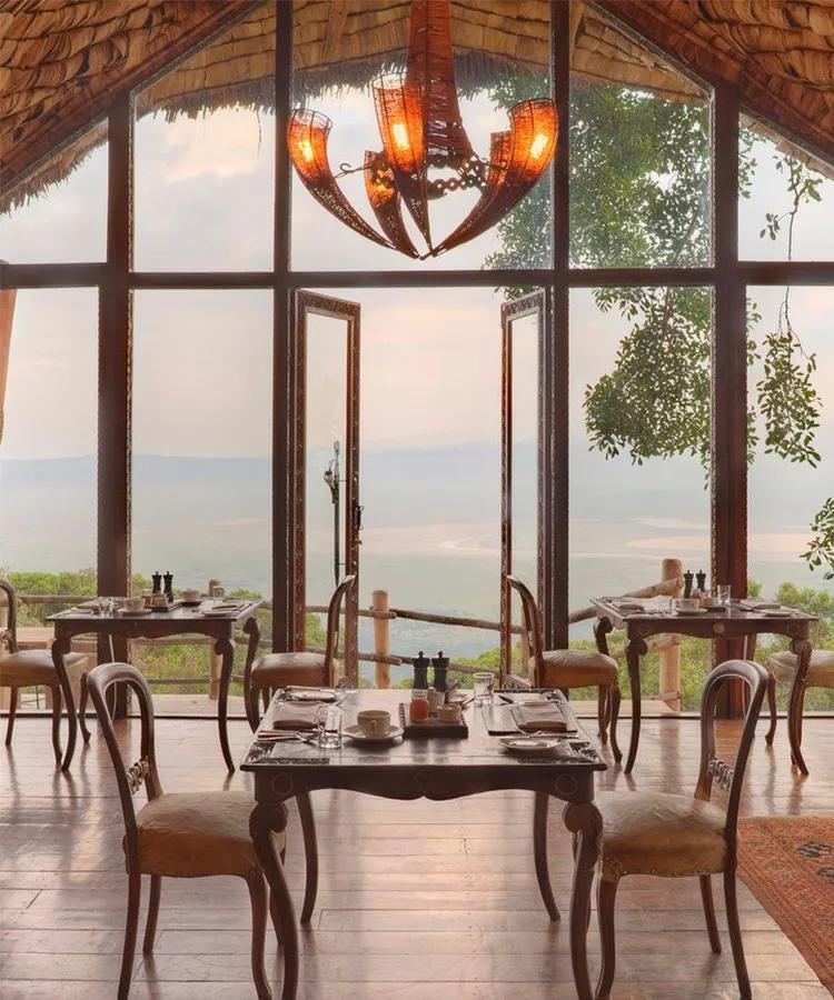 世间稀有的白色长颈鹿母子，在非洲被残忍猎杀，发现时只剩骨骼