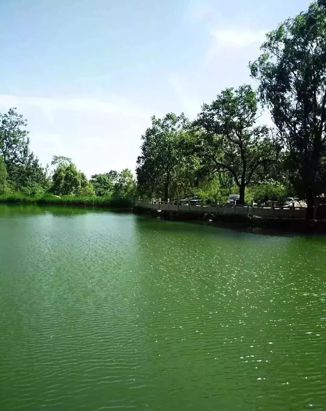 3月初石家庄周边好去处,石家庄周边玩水的好去处