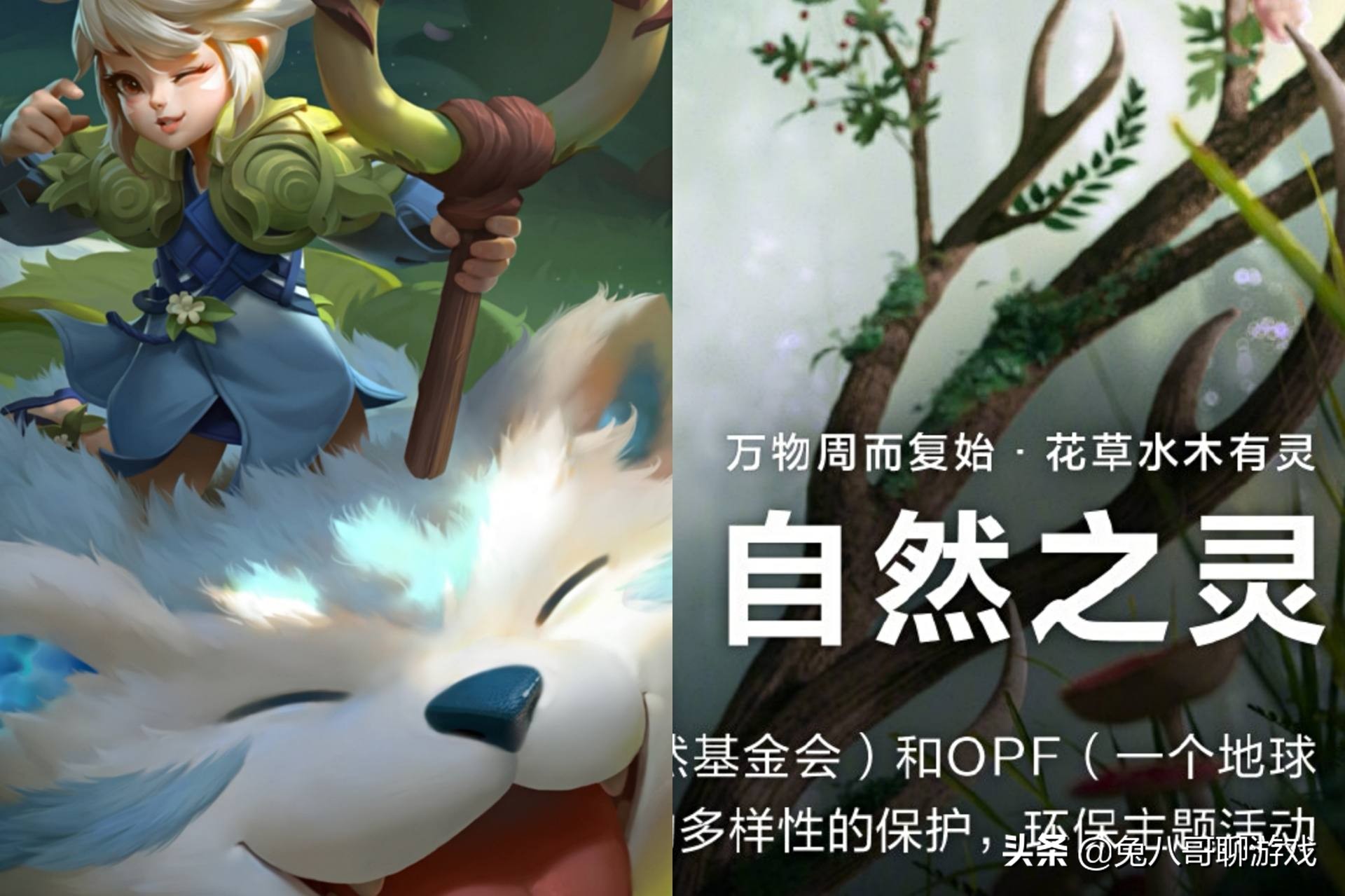 2022巴宝莉瑶妹联动皮肤,瑶妹巴宝莉联名皮肤图片