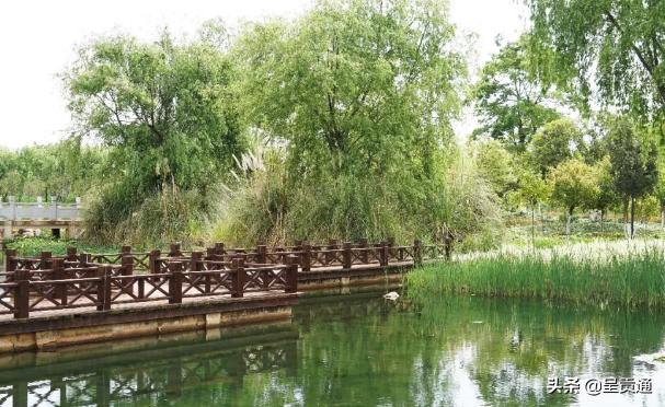 渔浦寒泉生态湿地公园在昆明哪里,昆明渔浦寒泉公园开放了吗