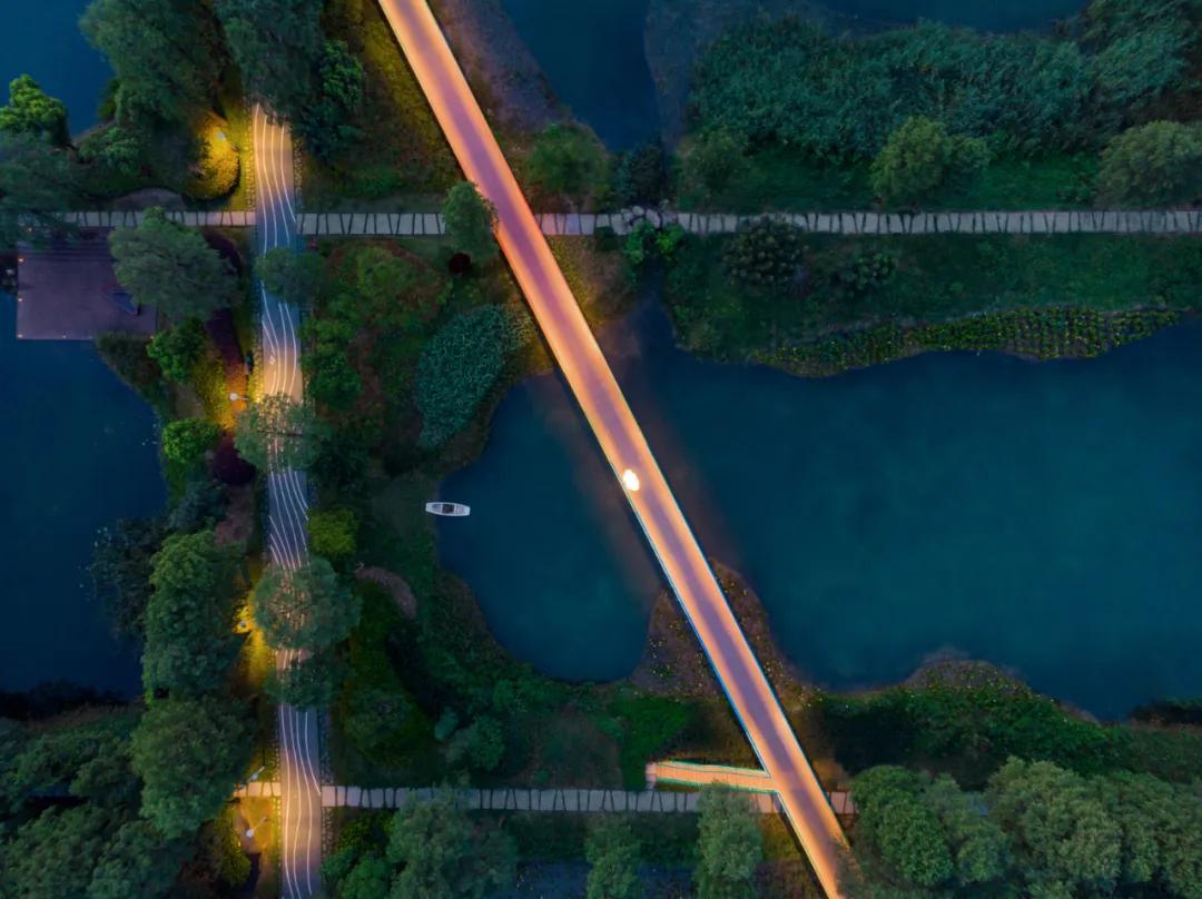 武汉华侨城湿地公园绿化,华侨城生态湿地公园武汉什么区