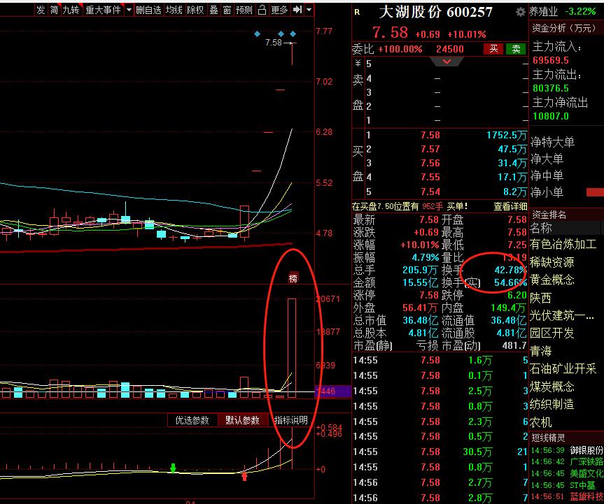 二胎概念板块,二胎未来发展趋势