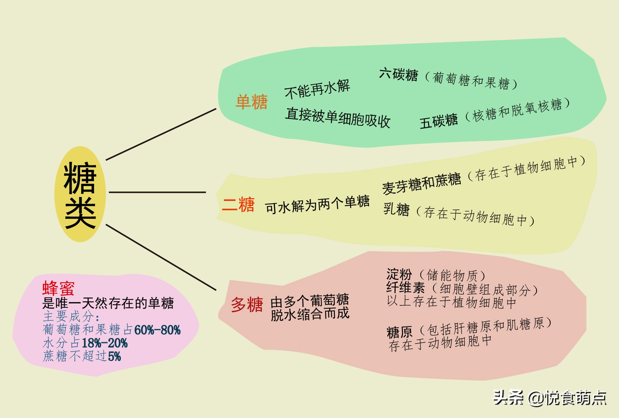 怎样知道酵母是有效的,原来有这么多种酵母你都了解了吗