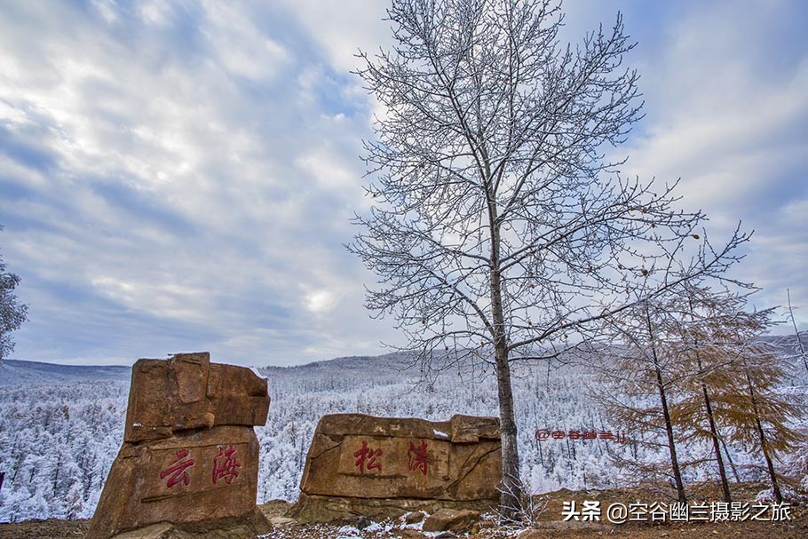 在莫尔道嘎，我遇见了最美的秋雪