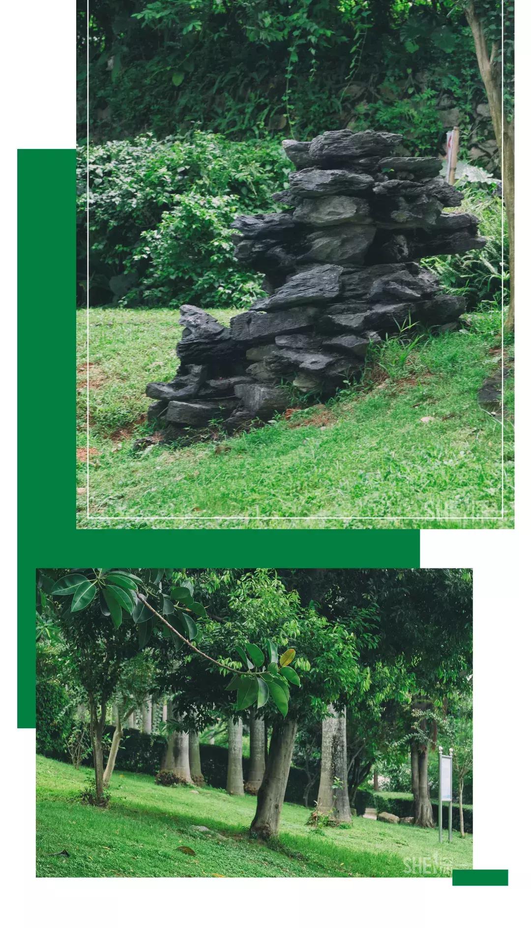 深圳市美美美,深圳最美免费水库