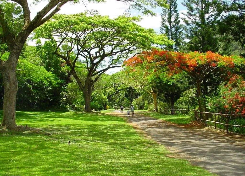 园林养护行业赚钱吗,园林行业到底赚不赚钱