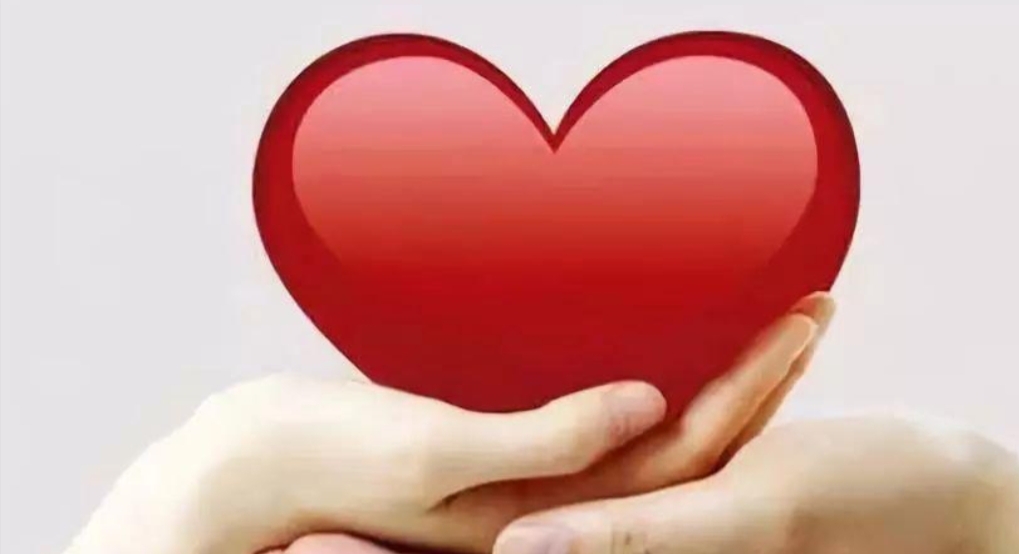 有一只宠物狗好养吗,你认为养什么宠物比较赚钱