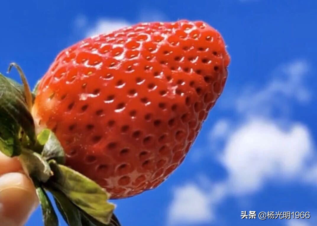 榛斾笢鍗楄嫍鏃忎緱鏃忚嚜娌诲窞鍑噷鑽夎帗 (鍑噷涓嬪徃鑽夎帗澶栭攢鎯呭喌)