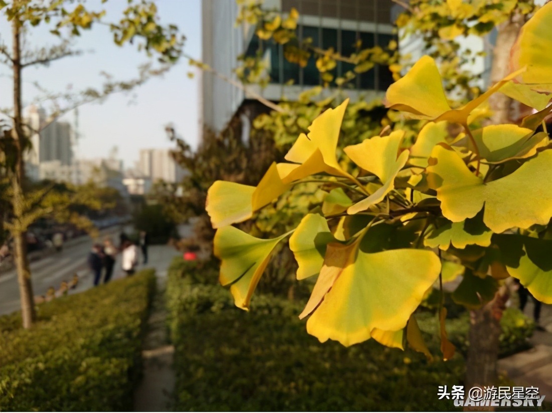 索尼xperia5ii深度测评,索尼xperia5ii长期测评