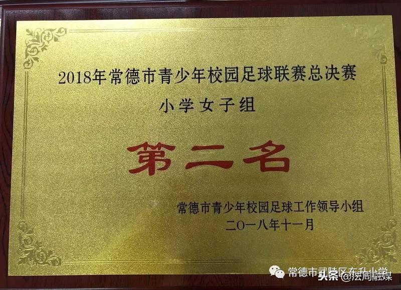 东升小学足球联赛,常德东升小学