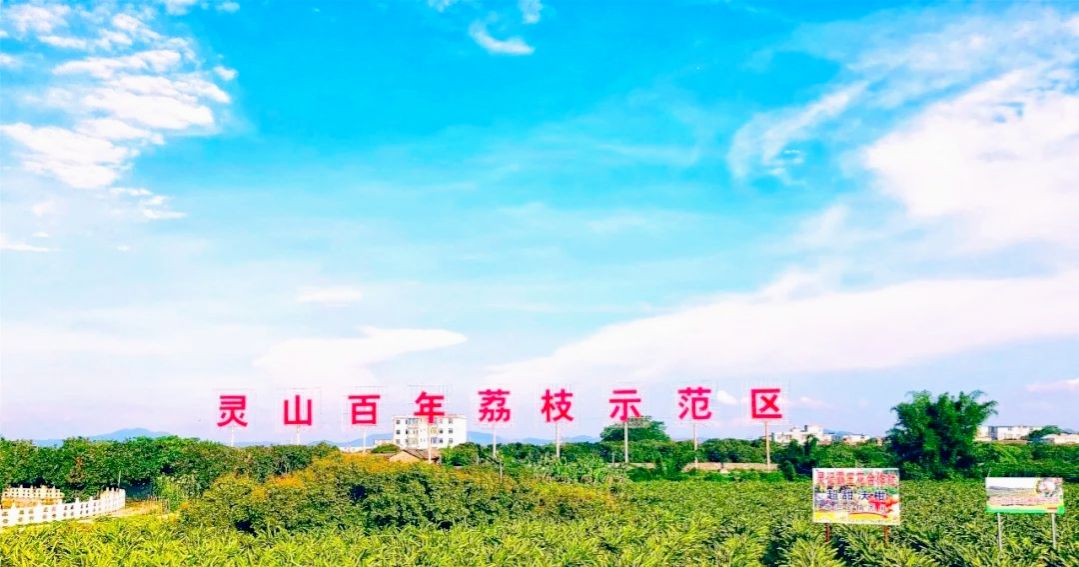 广西有哪些城市以前属于广东的,广西是荔枝之乡吗