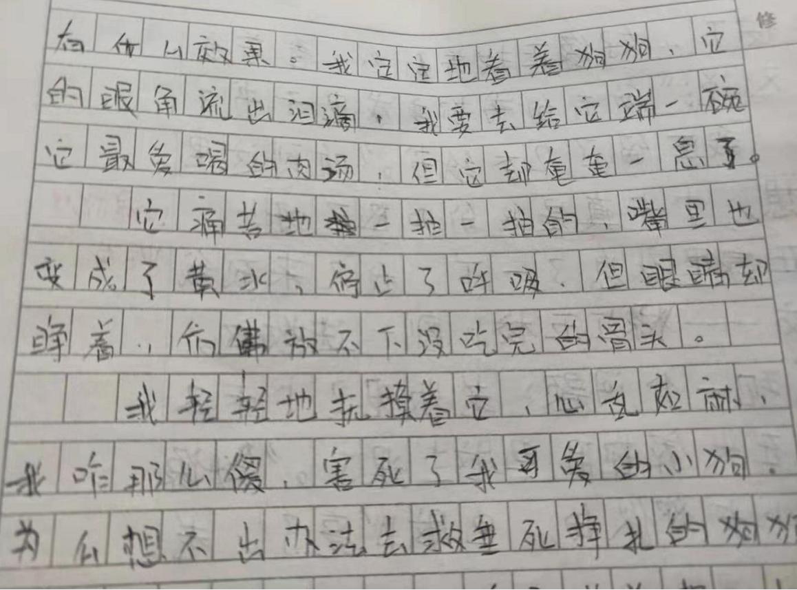 小学生心酸作文,小学生作文老师看完都哭了