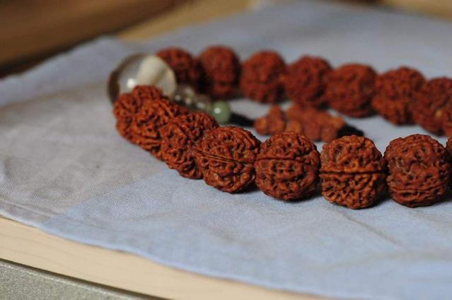 老玩家玩出来的小金刚菩提,老玩家都未必懂的新手攻略