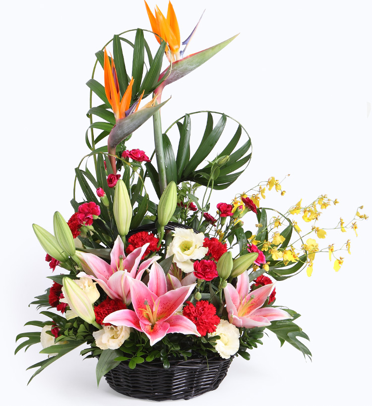 12星座女最喜欢什么花,追12星座女生送什么花