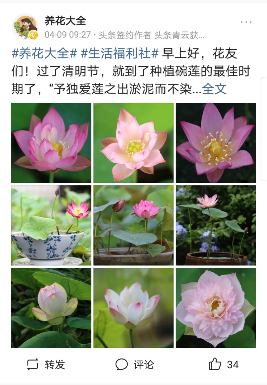 如何花200获得1w粉丝,养花种草怎么涨粉