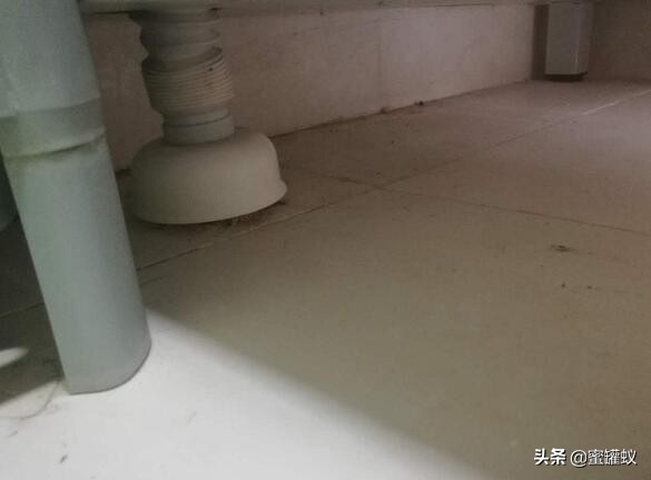 洗手池反味严重简单解决方法,洗手池反味怎么办