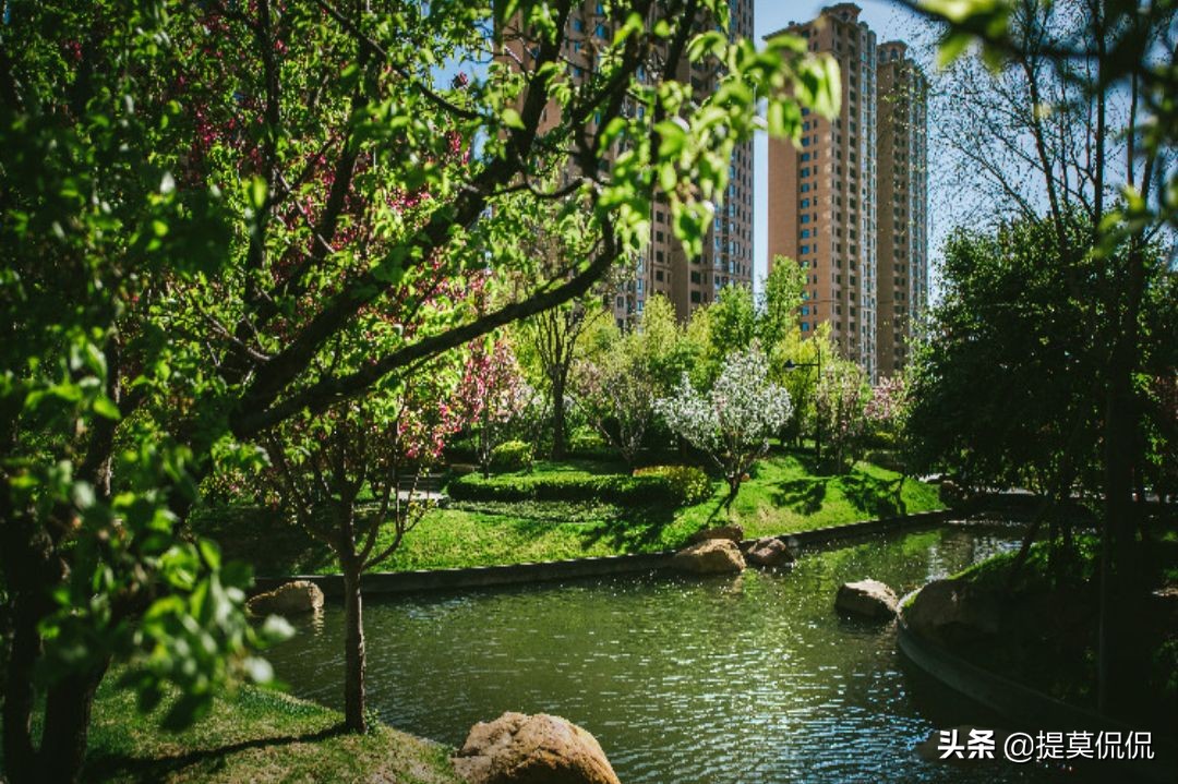 在沈阳，高端盘为什么推荐星河湾？