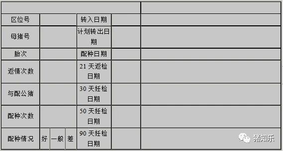 养猪基础知识母猪饲养要点,养猪知识分享