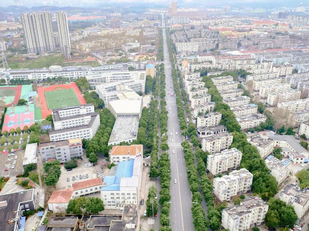 大厂真实生活现状,在大厂呆了3年的人