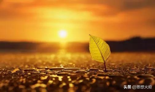 领导干部要做到慎言慎独慎微慎行,慎独慎微慎始慎终慎言慎行慎欲