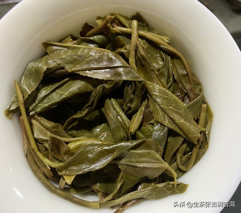 困鹿山普洱茶属于易武哪里,困鹿山普洱茶地理位置