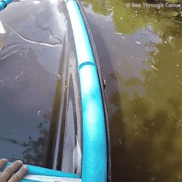 最倒霉的100个瞬间视频,35个最倒霉的瞬间