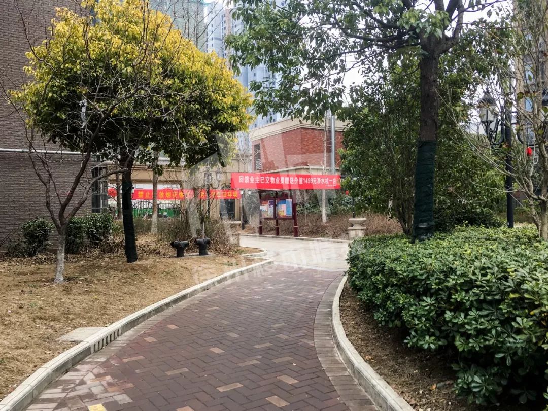 东区的房子为什么贵,分析一下东区的楼盘