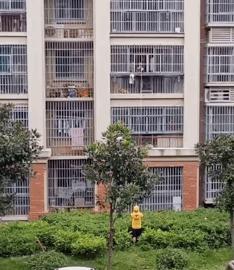 在野外发现甘蔗,在山里发现甘蔗