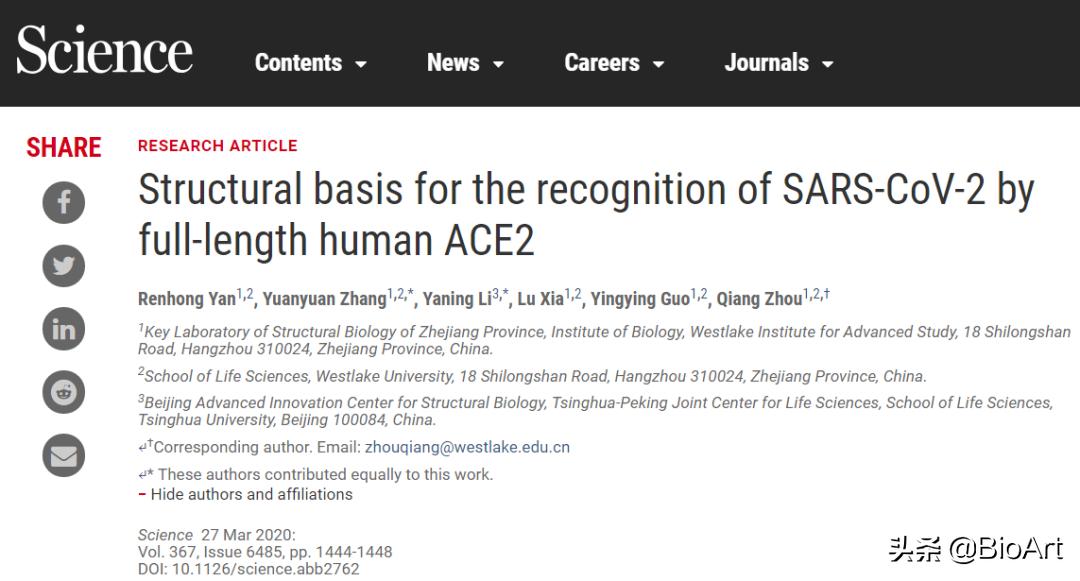 王新泉/张林琦、李放分别发表新冠病毒与人ACE2受体复合物结构