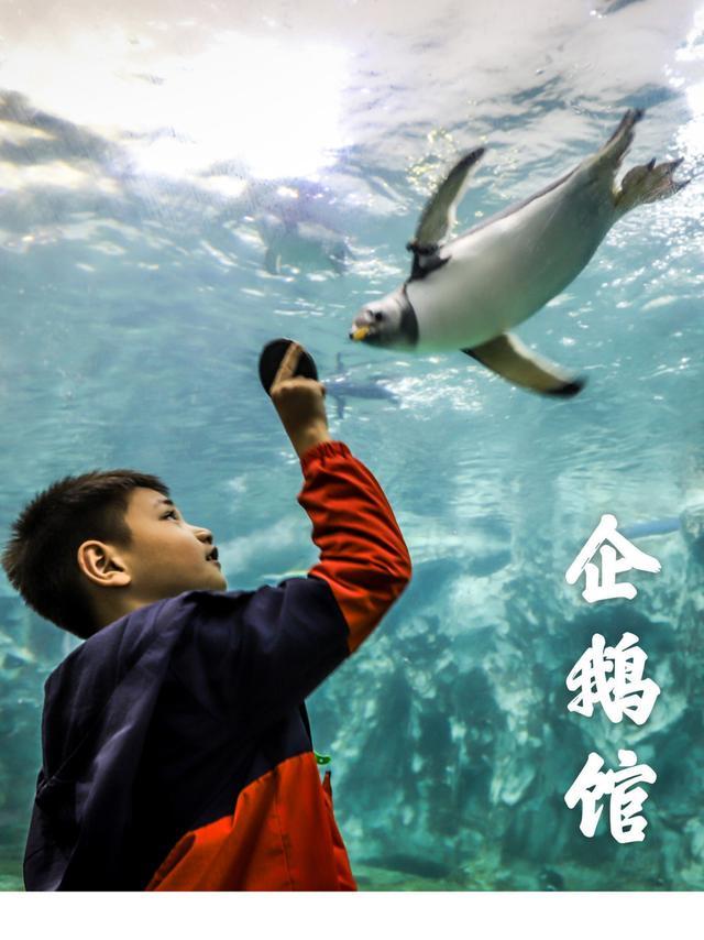 来珠海旅游必打卡的景点,春节珠海亲子游玩地方推荐