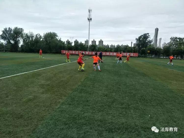 2019年沈阳市青少年校园足球比赛,2019辽宁省校园足球联赛初中