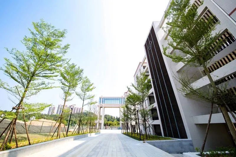 考上一流大学，最高奖励60万元！泉州这所学校太霸气