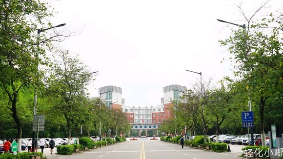 四川理工学院2020新生数据,四川理工学院官网登录