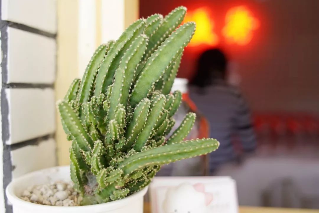 健康路熟不熟？这8家店你未必都吃过哇？