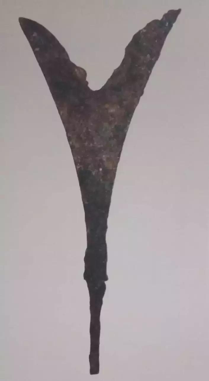 古代战争为何不用箭射马,古代打仗马不怕箭射吗