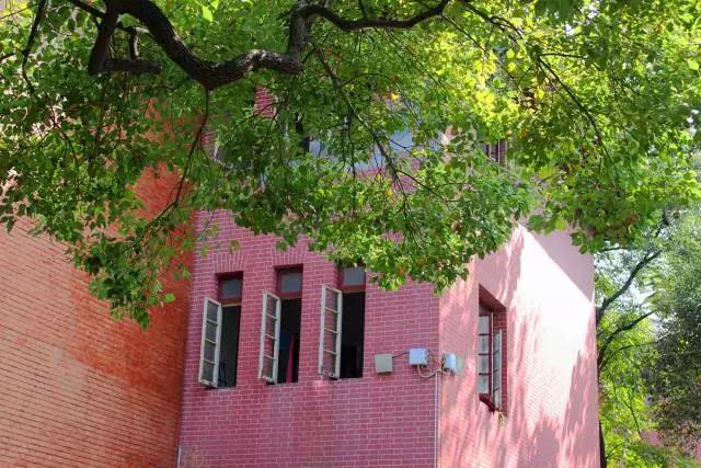 坐拥16个食堂、豪华宿舍和校内鸟巢!中南大学才是真正的超高颜值!