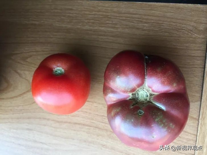 这组很少见的图片，看完知识储备量又增加了