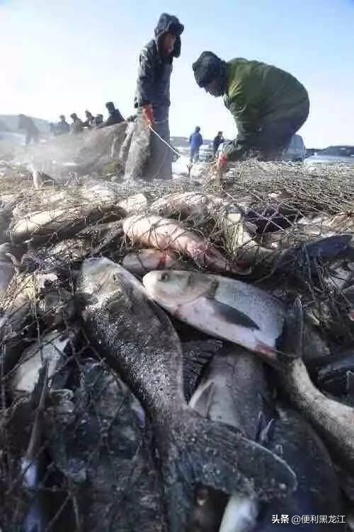 30绉掑甫浣犱簡瑙ｉ粦榫欐睙,甯︿綘浜嗚В榛戦緳姹熷悇涓競