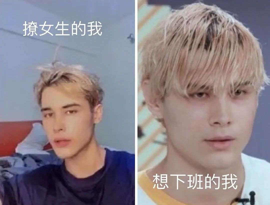 被爆塌房却吸粉，直言不在意粉丝，民选“c位”利路修凭什么火？