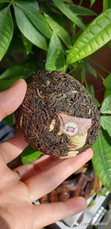 v93澶х泭娌辫尪閴村埆,v93娌辫尪澶х泭鏁寸